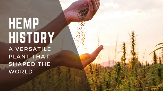 Hemp-History-A-Versatile-Plant-that-Shaped-the-World Zerep Holistics