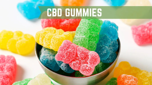 CBD-Gummies-The-Hype-and-Choosing-the-Best-for-Your-Wellness-Journey Zerep Holistics