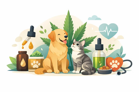 CBD for Pets Benefits: What Owners Should Know