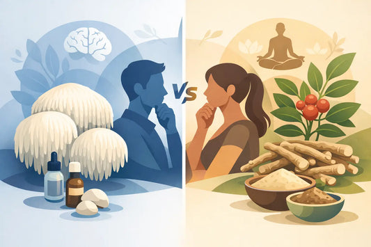 Lion's Mane vs Ashwagandha: Which Fits You?