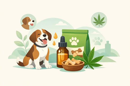 What Is CBD Treats for Dogs?