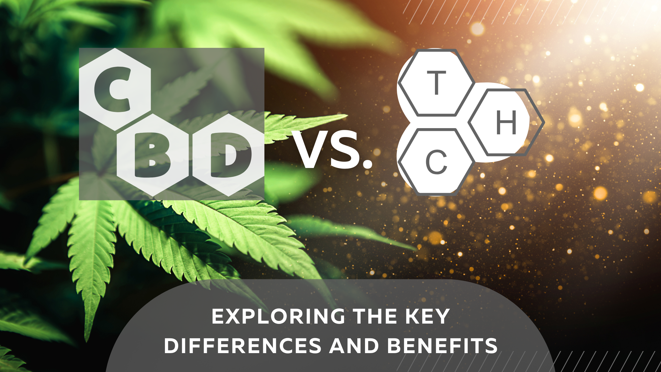 CBD Vs. THC: Exploring The Key Differences And Benefits – Zerep Holistics