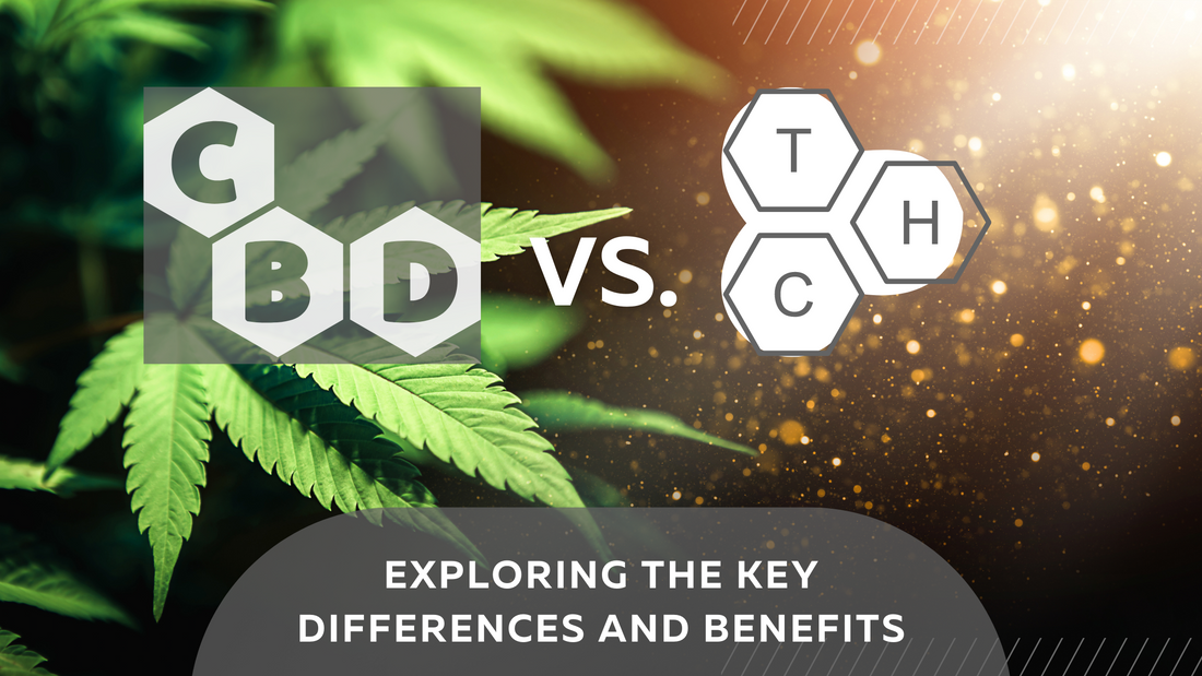 CBD vs. THC: Exploring the Key Differences and Benefits