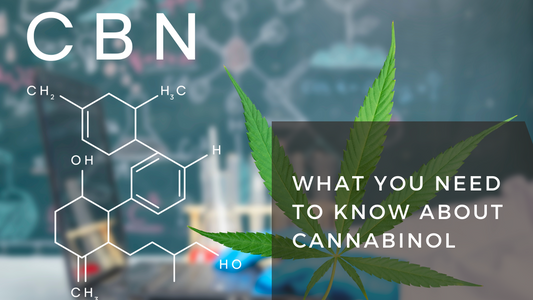 CBN: What You Need to Know About Cannabinol