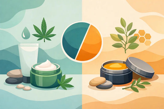 CBD Cream vs Balm: Which Fits Your Routine?