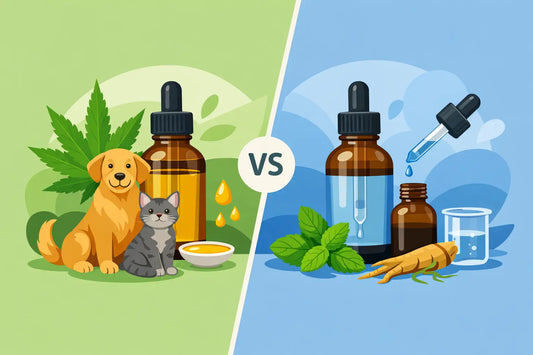 Pet CBD Oil vs Tincture: What’s the Difference?