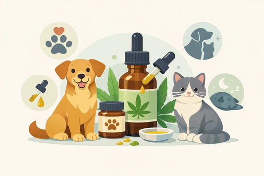 Pet CBD Beginner Guide for Dogs and Cats