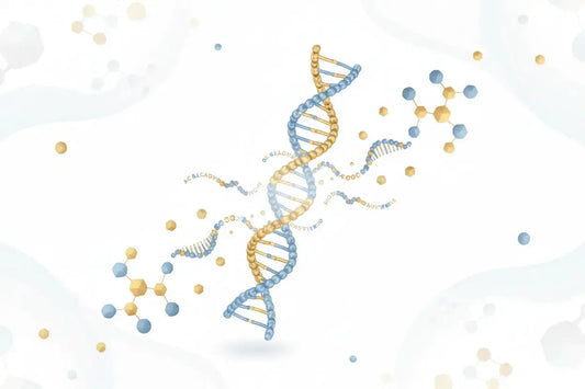 Guide to Premium Collagen Peptides Benefits & Uses Zerep Holistics