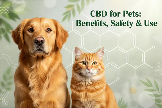 CBD Products for Pets: Complete Guide to Benefits, Safety & Use in 2026