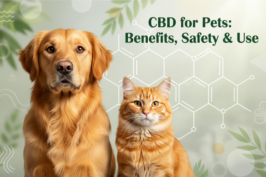 CBD Products for Pets: Complete Guide to Benefits, Safety & Use in 2026