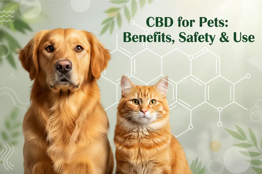 CBD Products for Pets: Complete Guide to Benefits, Safety & Use in 2026