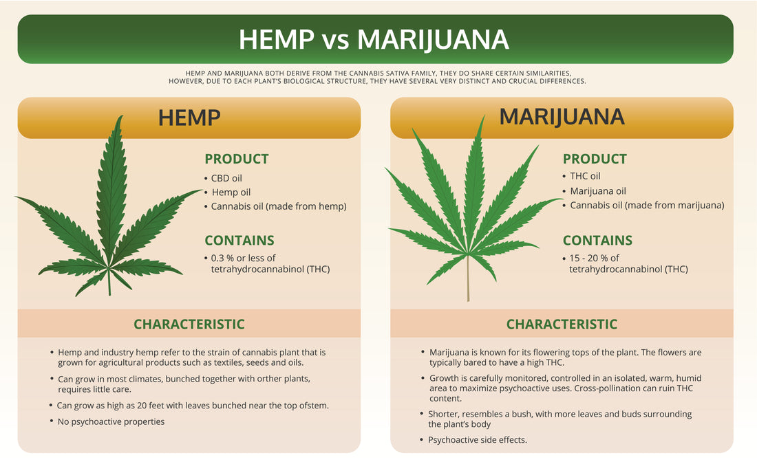 Difference Between Marijuana & Hemp