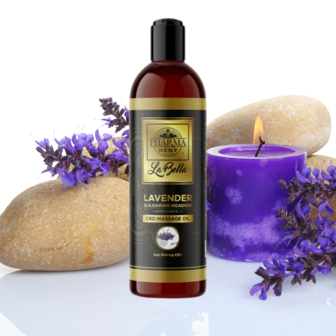 CBD Massage Oil – Lavender Bulgarian Meadow 500mg CBD 8oz